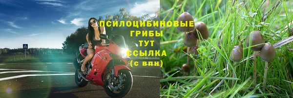 гидропоника Арсеньев