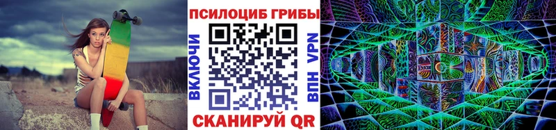 OMG онион  Дмитров  Галлюциногенные грибы Magic Shrooms 