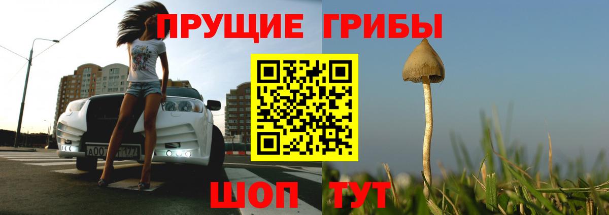 Псилоцибиновые грибы мухоморы  Вход с VPN  Дмитров 